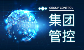 集团管控