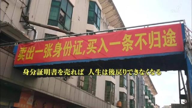 深圳三和大神:工作一天玩三天,热爱自由,颓废至死 行业资讯 第3张-天武咨询