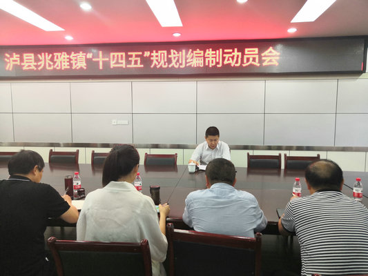 泸县兆雅镇召开“十四五”规划编制动员会 十四五专题 第1张