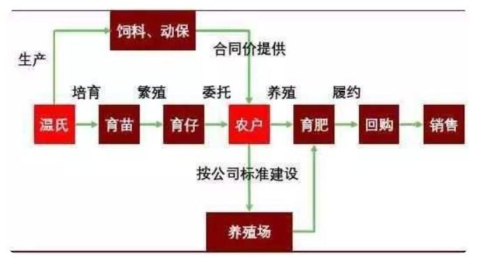 畜牧十四五规划对生猪产业的指导意义 发展规划 第2张