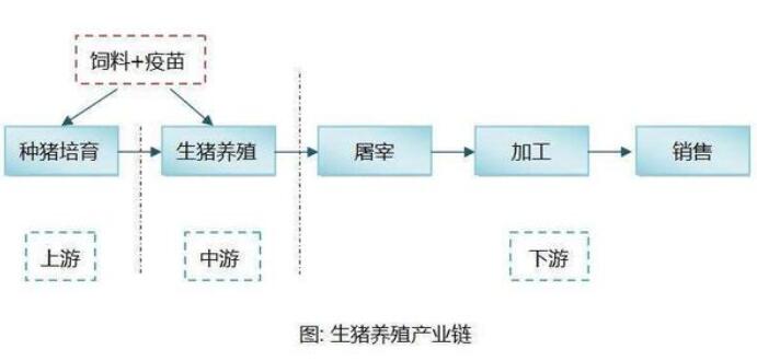 畜牧十四五规划对生猪产业的指导意义 发展规划 第3张