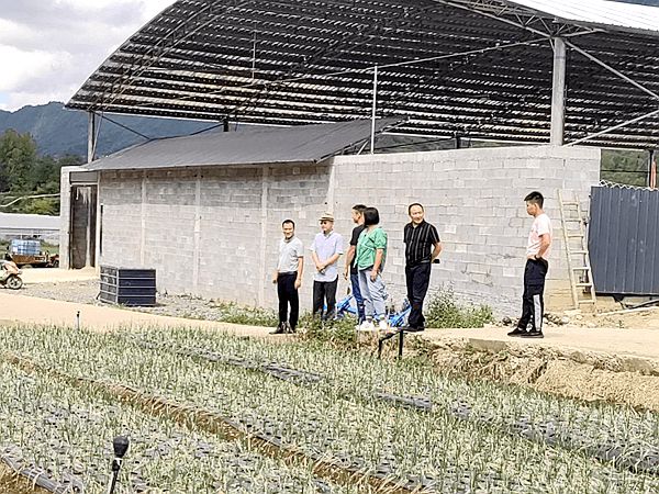 重庆市丰都县武平镇招商引资助推乡村振兴 乡村振兴 第2张