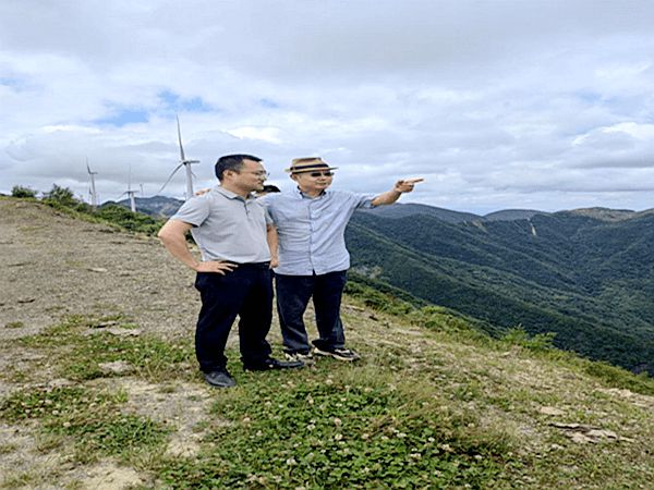 重庆市丰都县武平镇招商引资助推乡村振兴 乡村振兴 第1张