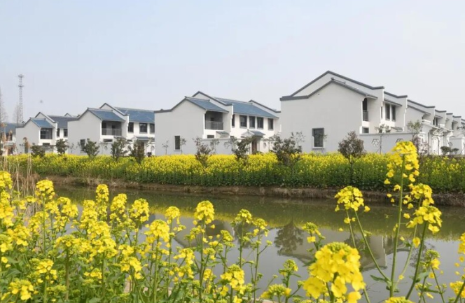 江苏发布“十四五”城乡社区服务体系建设规划 十四五专题 第1张