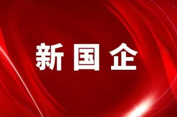 着力打造适应中国式现代化要求的现代新国企  第1张