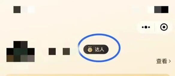 美团圈圈如何加人达人，红利期新项目美团圈圈一单10块 杂谈分享 第8张