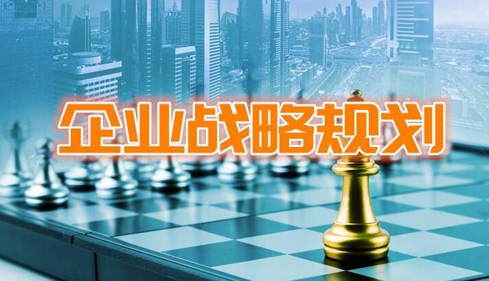 企业如何进行战略规划和业务发展，以及一些成功的实践案例  第1张