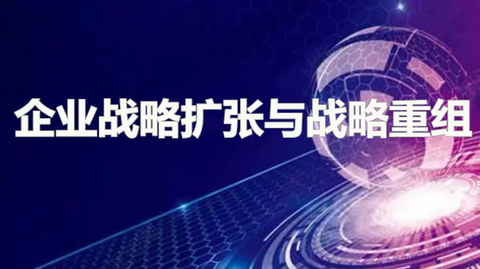 企业战略扩张以及战略重组研究  第1张