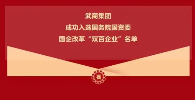 武商集团入选国企改革